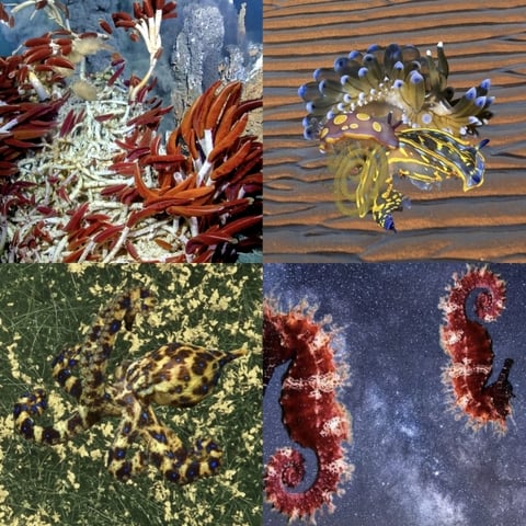 Artwork